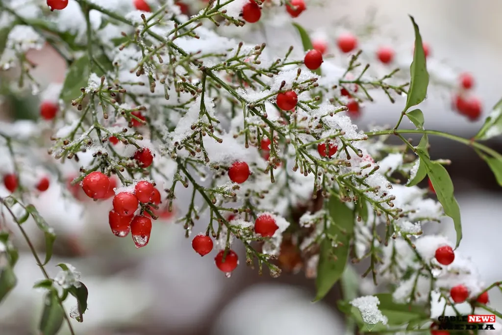 Winter’s First Strike: Cold Front and Potential Snowstorm Loom Over Greater Akron