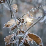 Winter's Chill Descends on Akron-Canton: A Frosty Morning Update